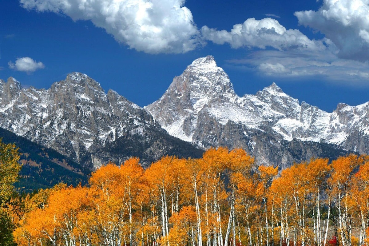 The Grand Teton National Park