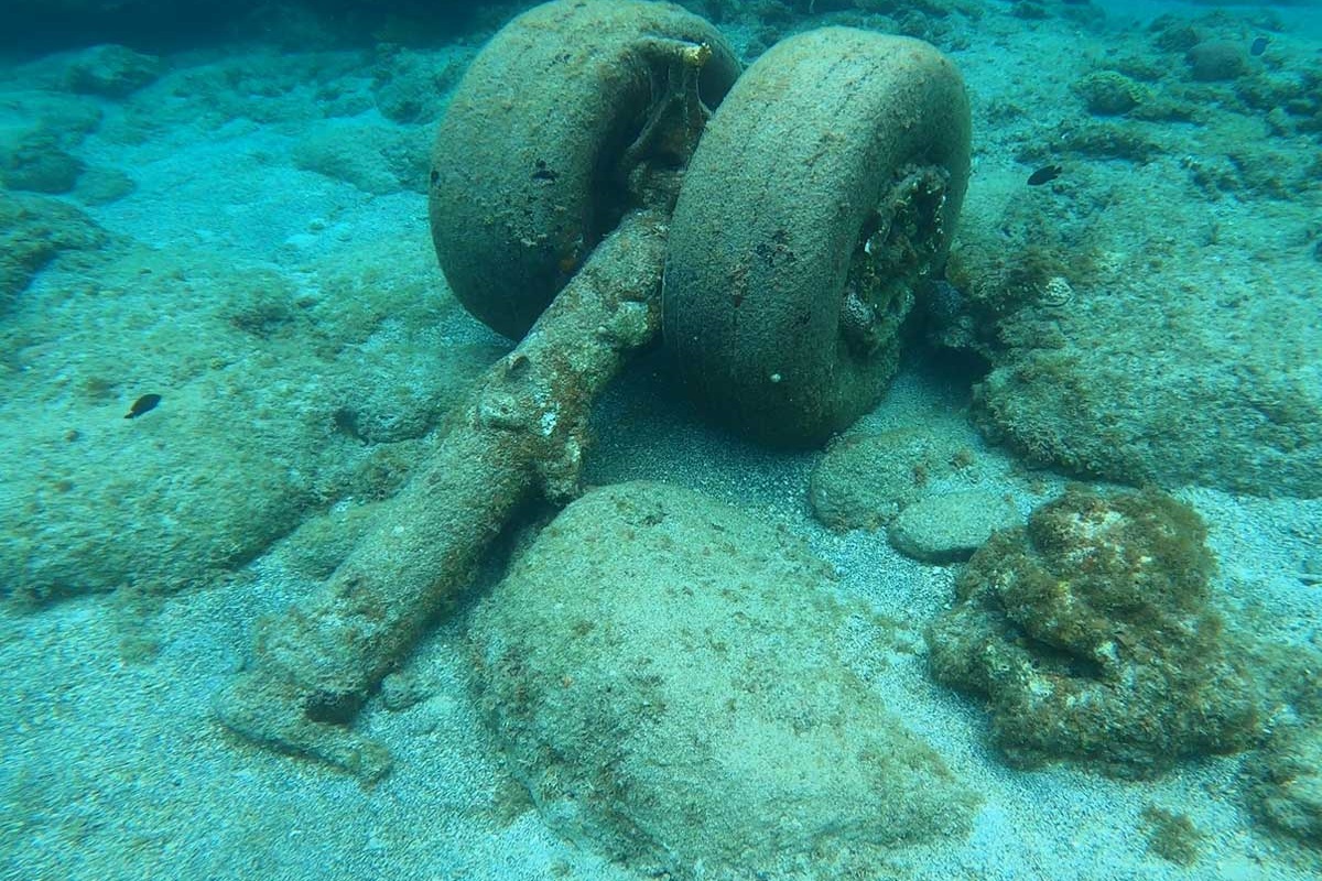 Wheels from an airplane crash.