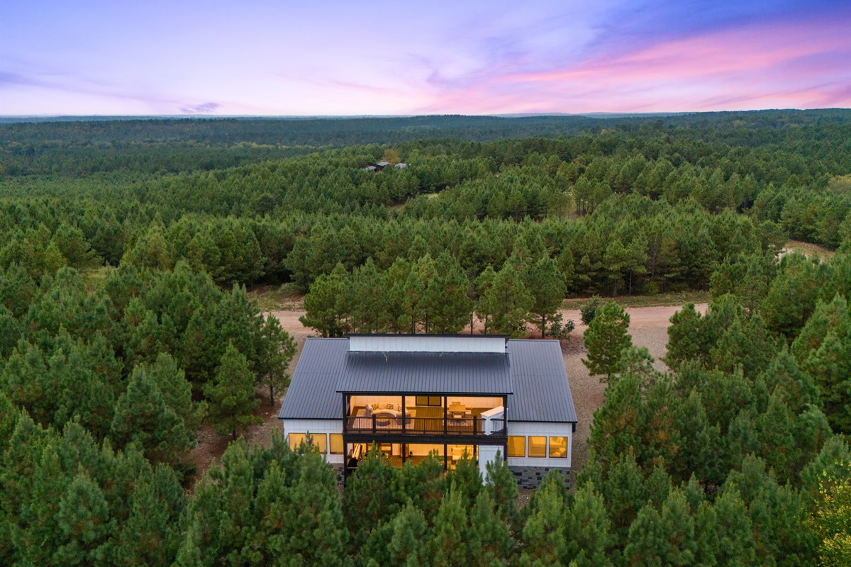 Front view of the cabin nestled in the forest canopy.