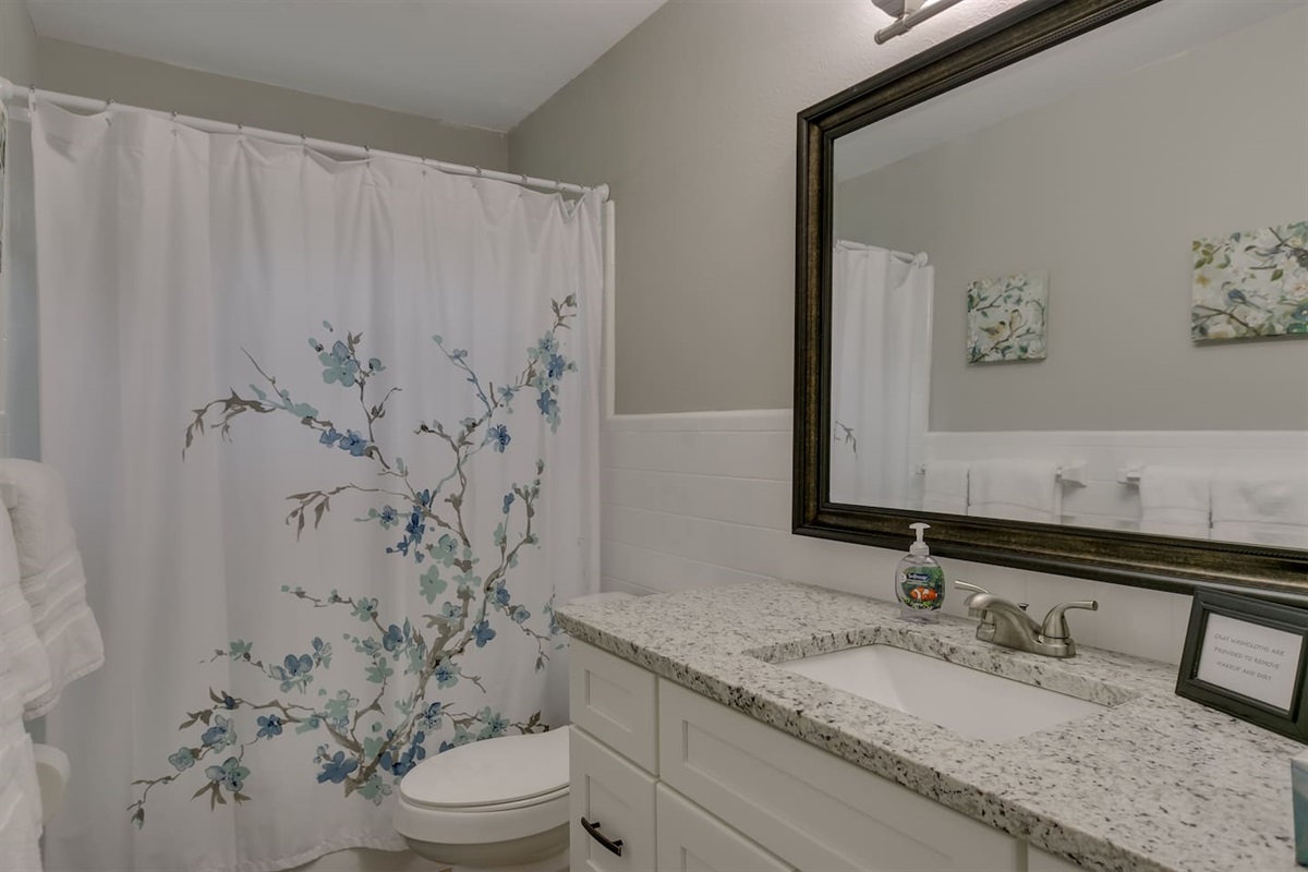 Hall Bath #2 Tub/Shower Combo
