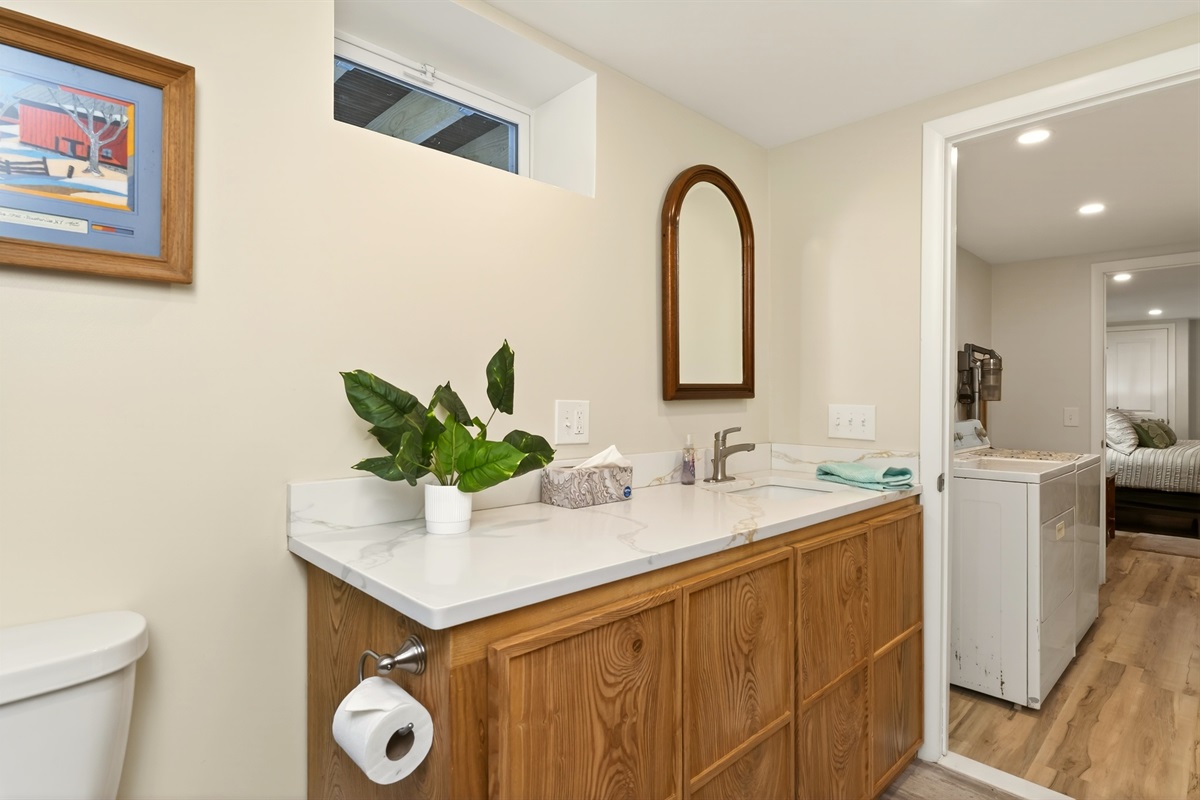 Lower level full bathroom