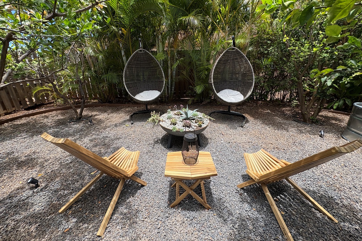 Succulent garden and lime trees (common area)