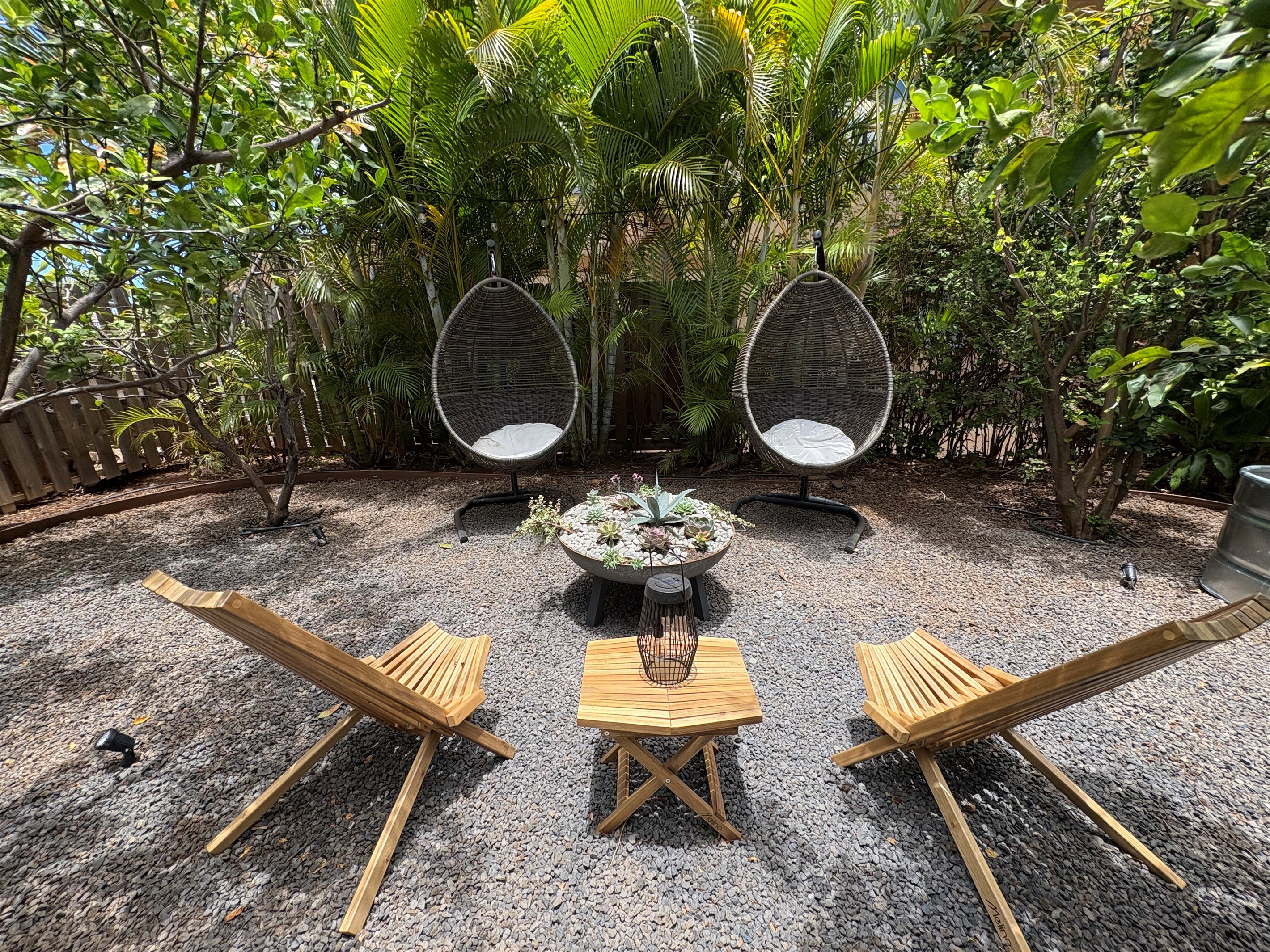 Succulent garden and lime trees (common area)
