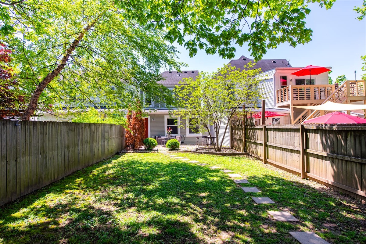 Backyard