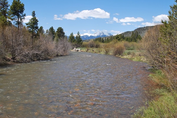 Snake River with Buffalo Mtn. Views next to condo