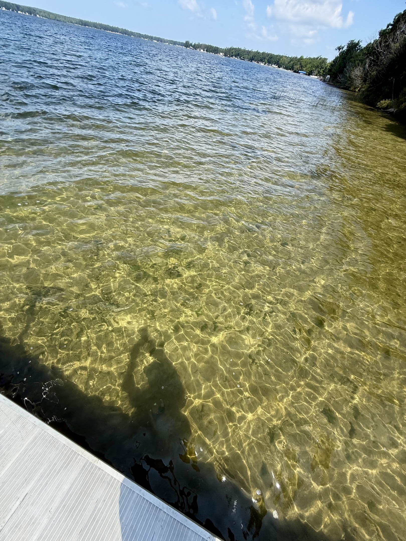 Water is clear