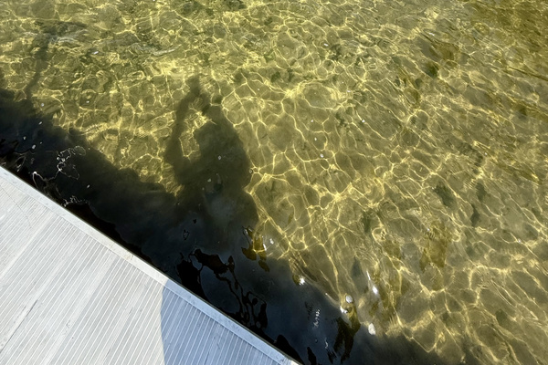 Water is clear