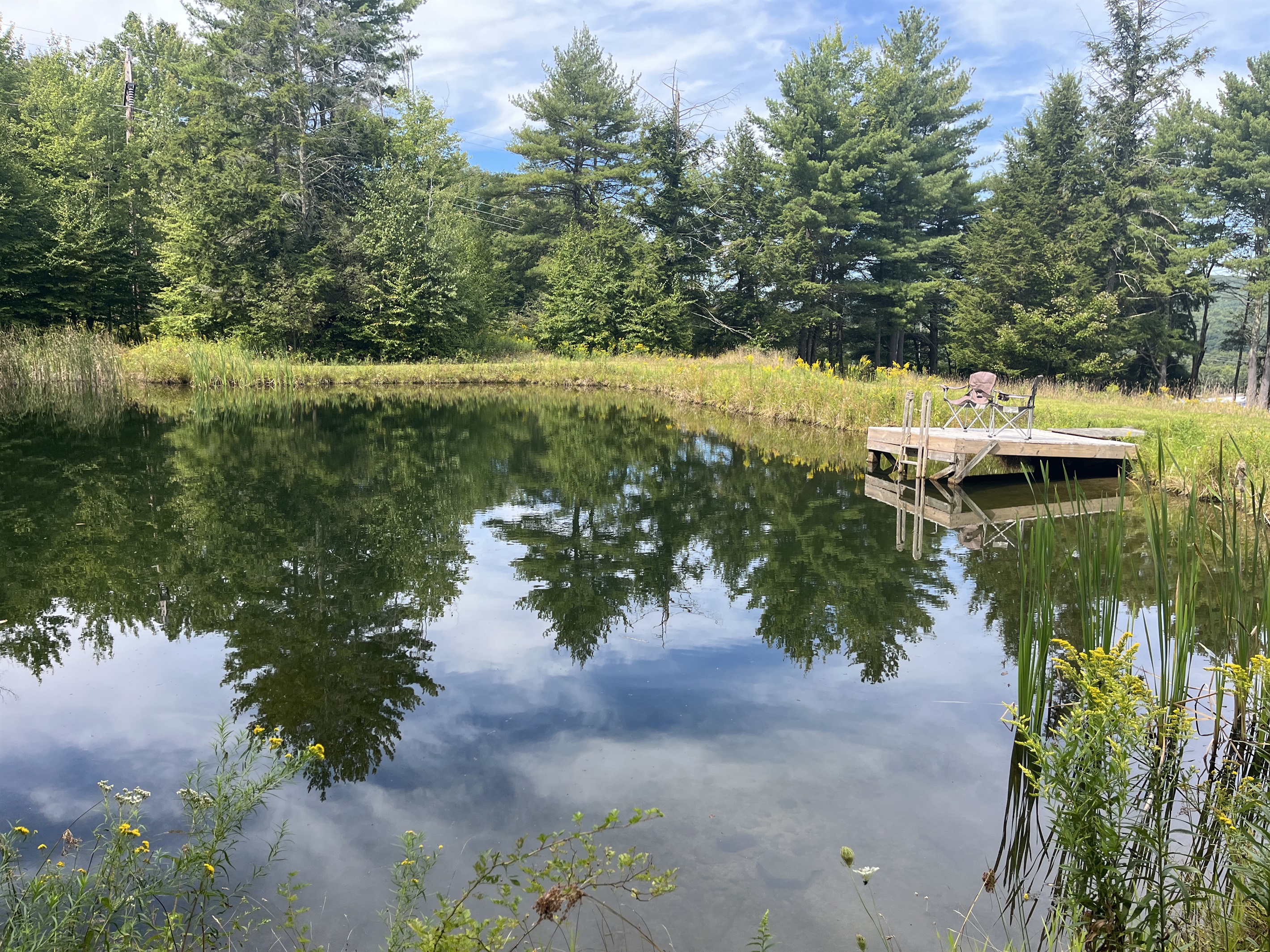 Pond with dock and pavillion