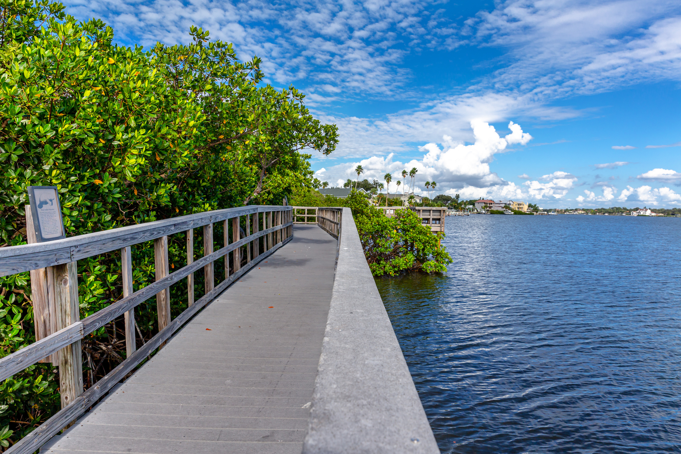 Waterfront Walking Path