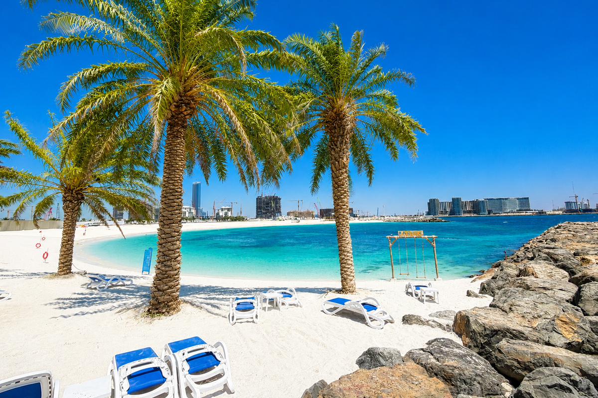 Beach area with palm trees