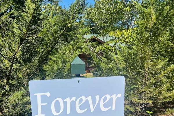 Welcome to the Forever Home Cabin