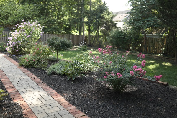 Backyard view from northside gate