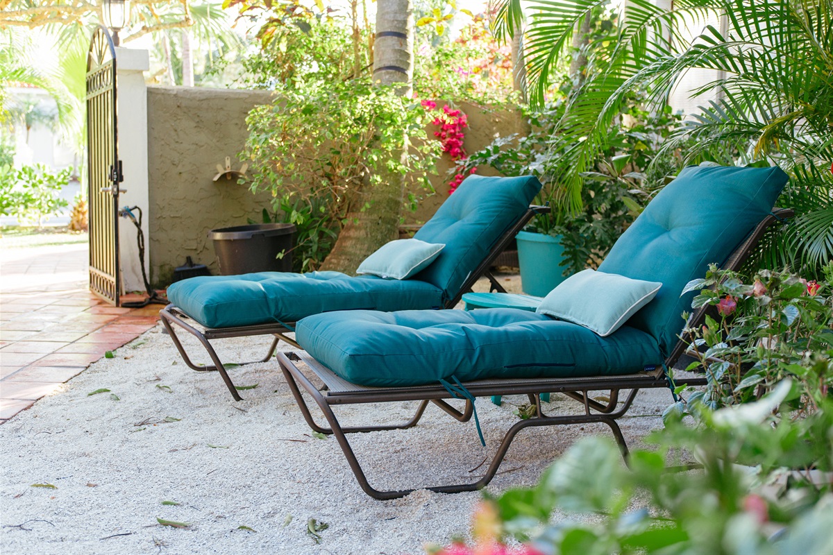 Our relaxing garden area.