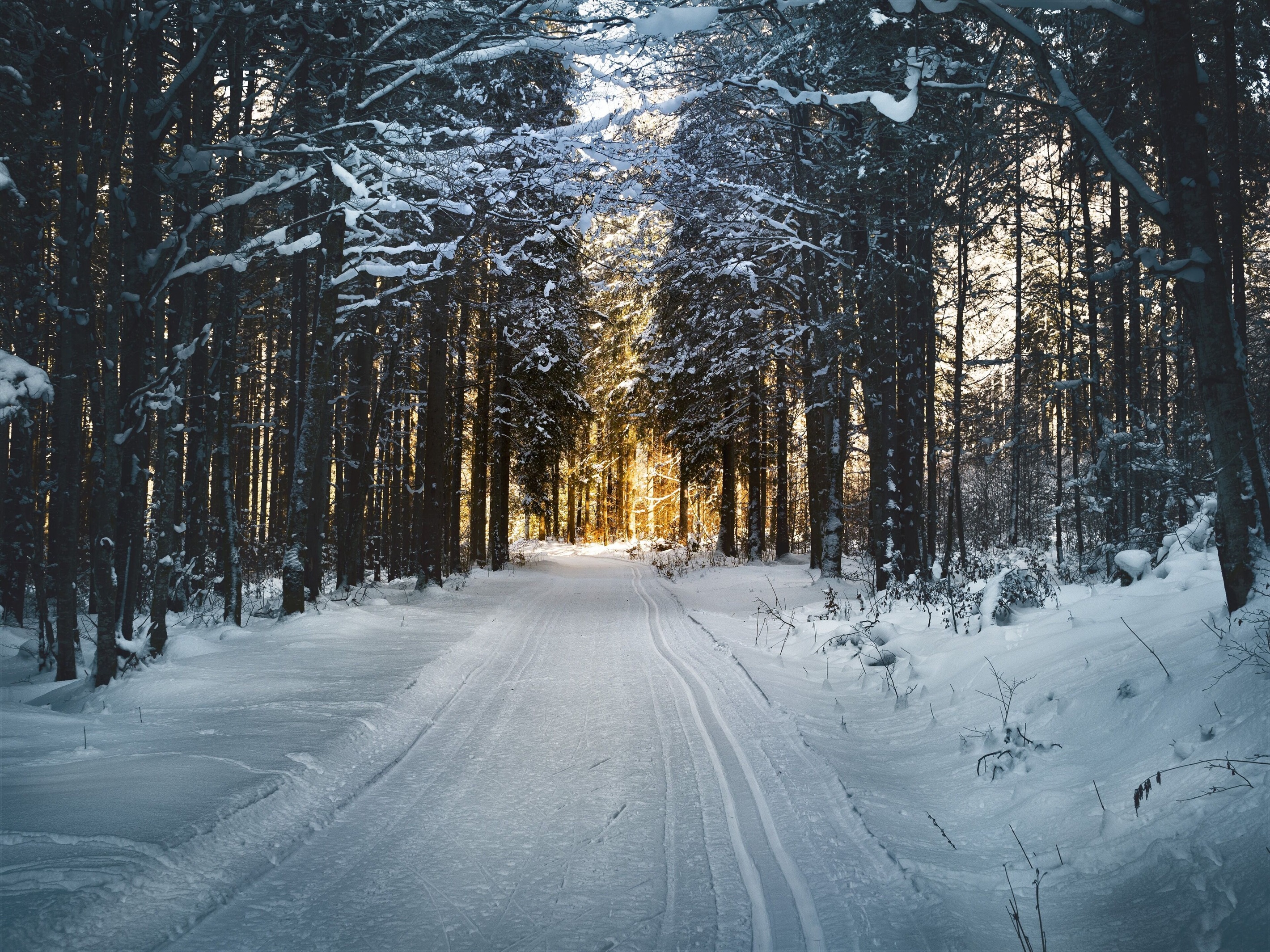 Snow and ski sports