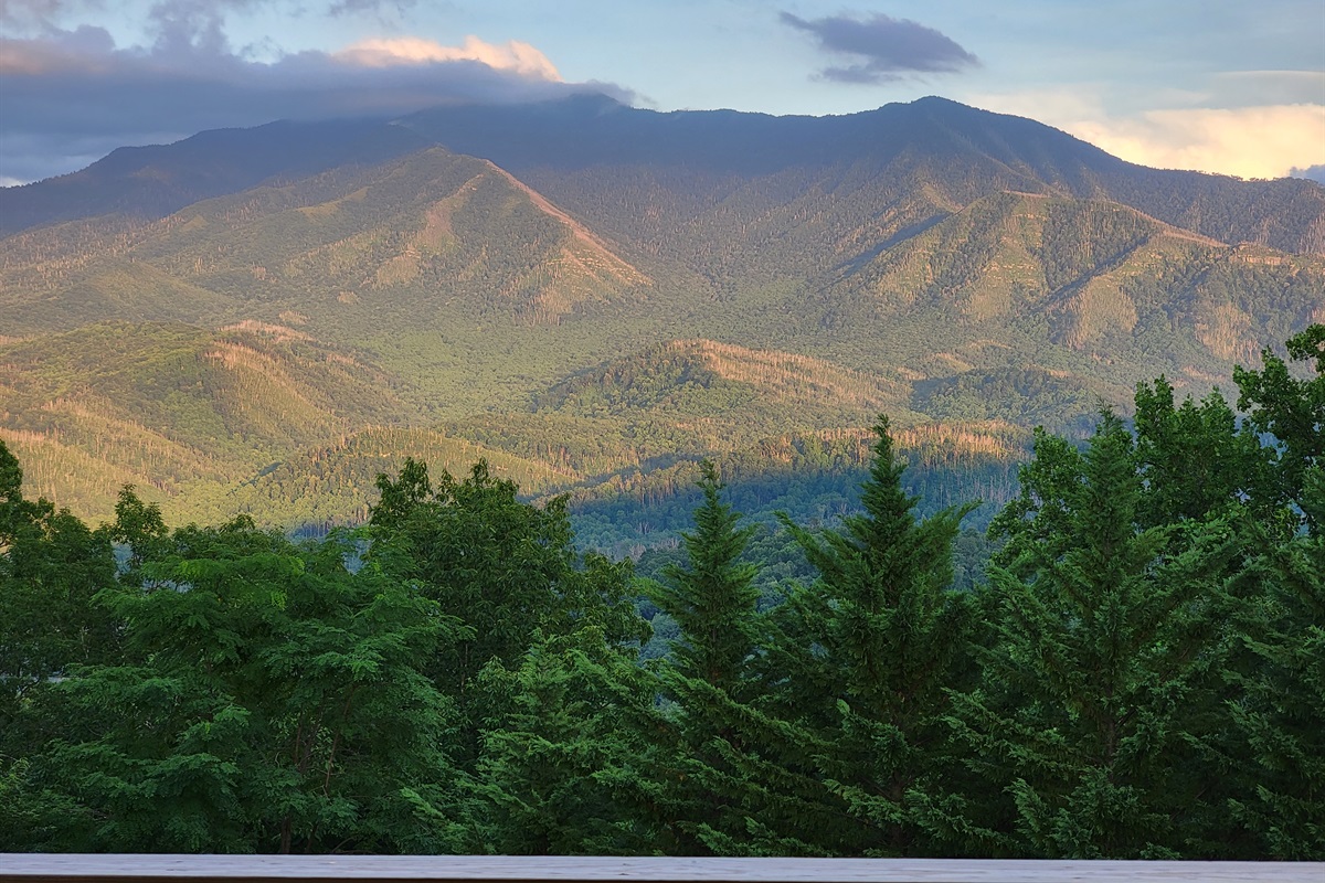 The view always changes