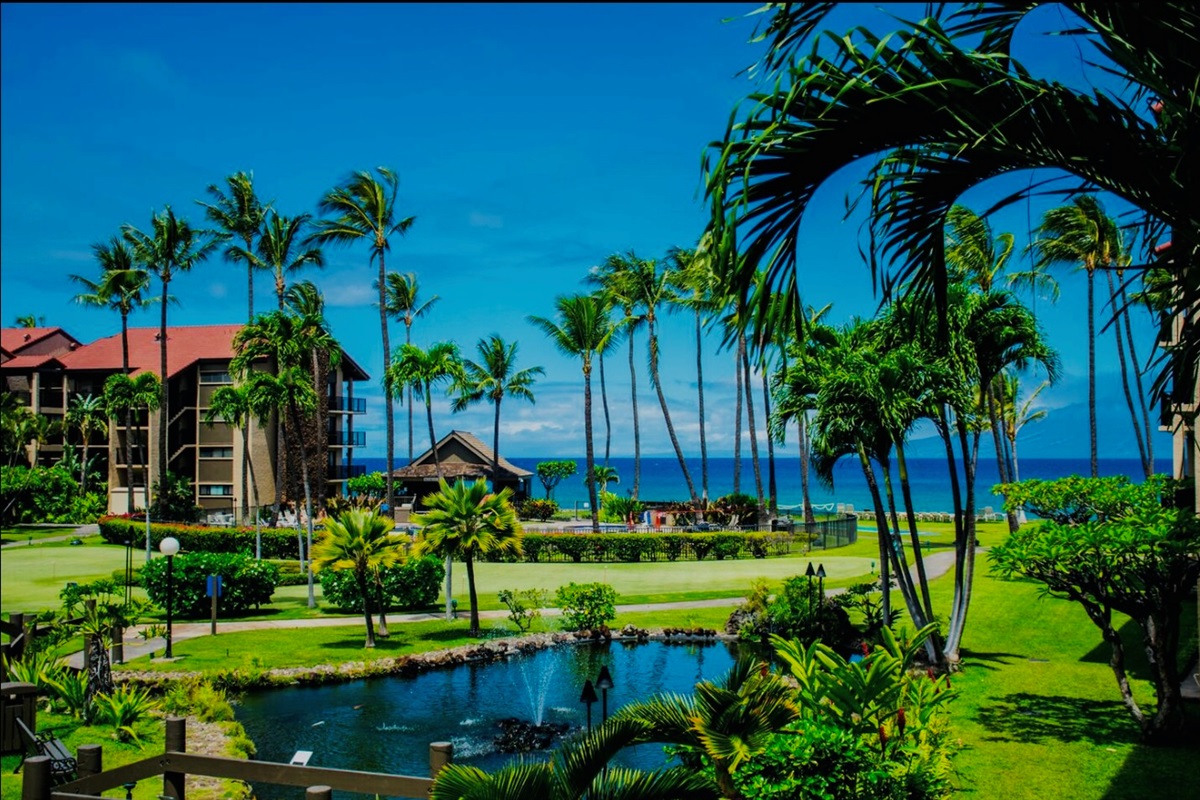 Tropical landscaping that makes your Instagram followers jealous