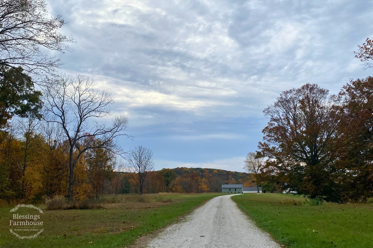 The house sits away from the road, giving your group peace and privacy.