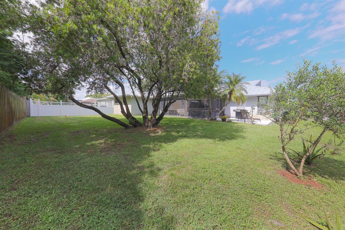 Shade, Sun and Space