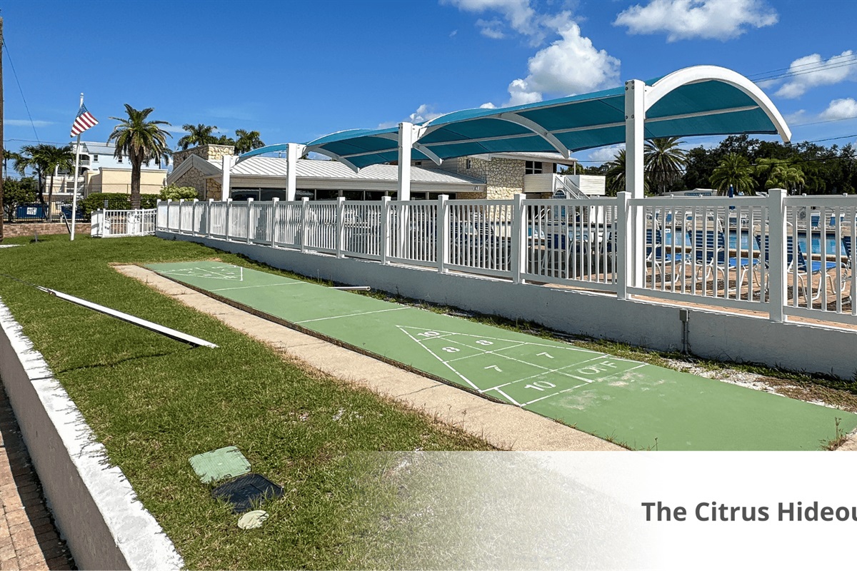 Shuffleboard