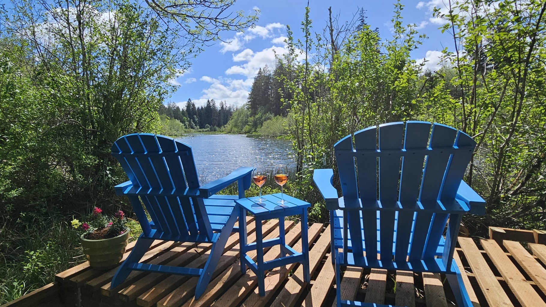 Creekside seating at the outlet of Lake Isabella - kayak into the lake, tube down the creek, or birdwatch into the evening until the beavers begin to stir.