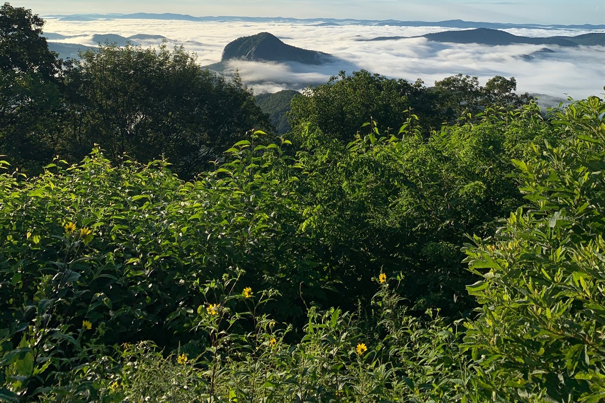 Travel the Blue Ridge Parkway