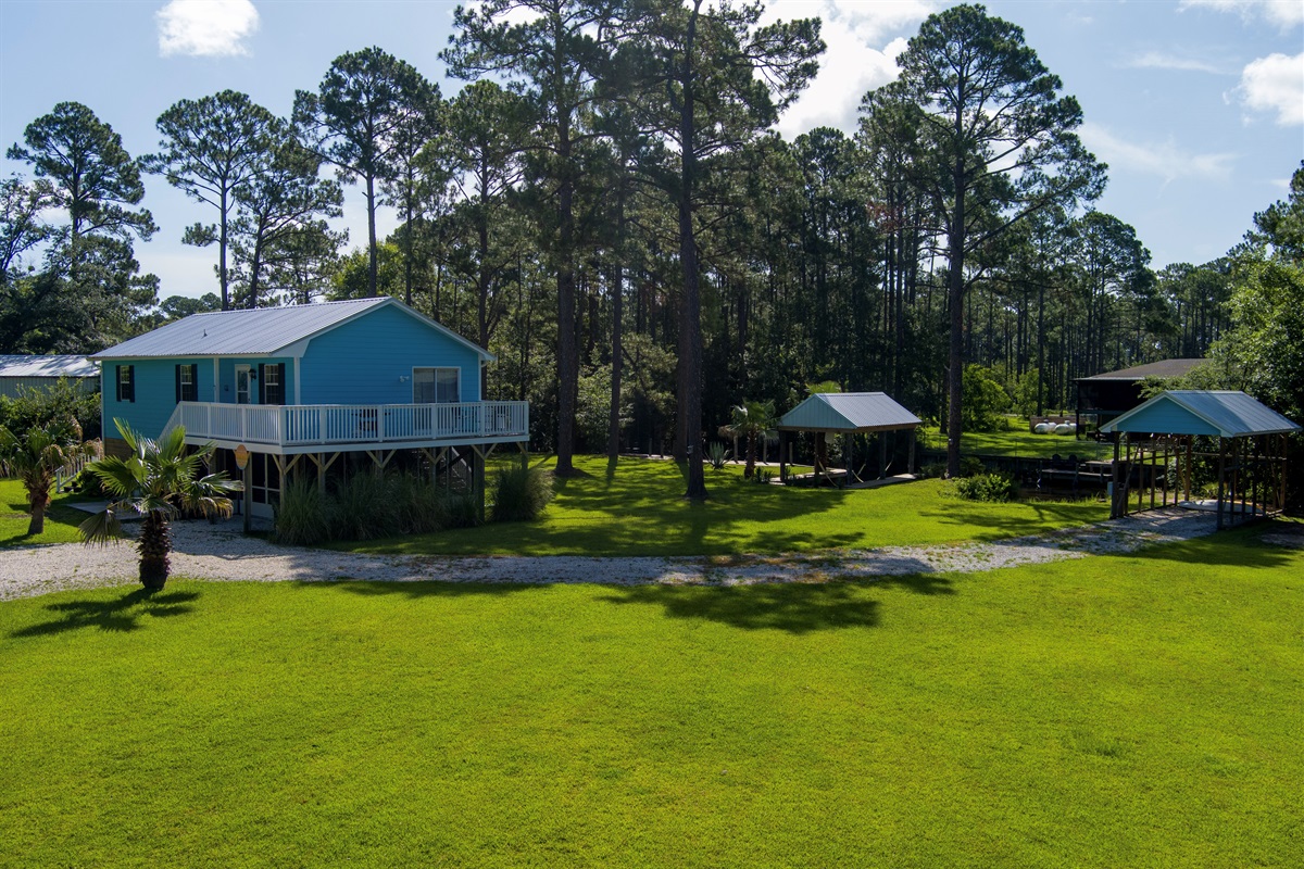 The Blue House