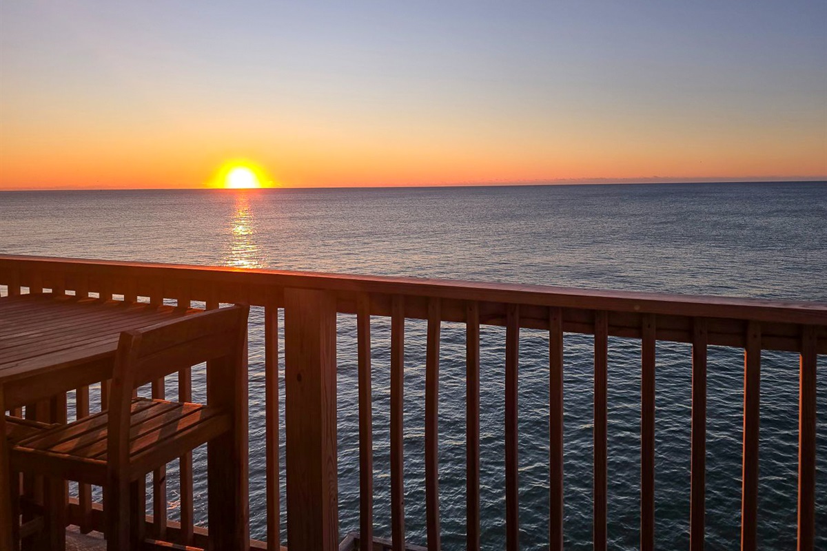 Welcome to Loggerhead Landing!