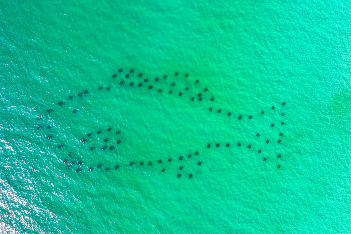Manmade reefs for snorkeling at PCB