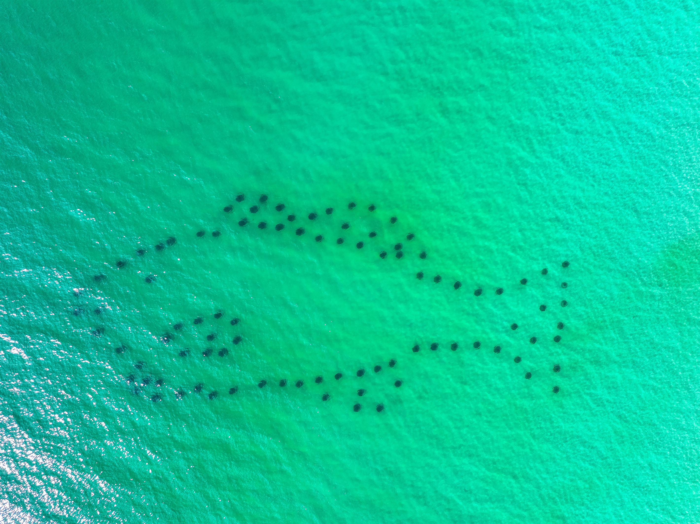 Manmade reefs for snorkeling at PCB