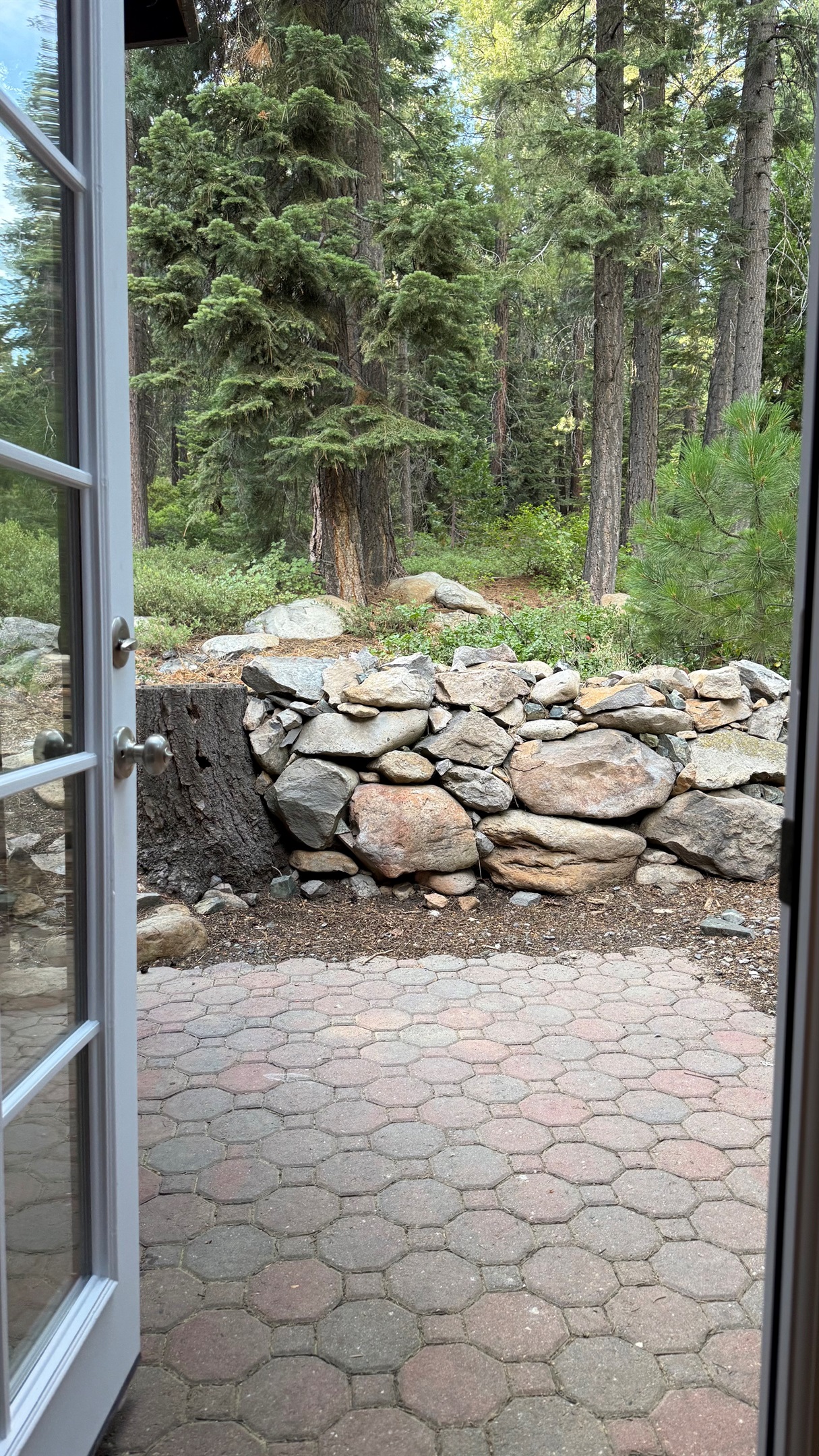 Peaceful forest view right from the bed, with direct access to the outdoors through the private entrance.