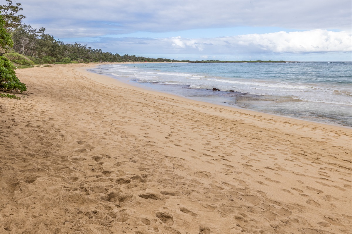 Amazing sandy beach just outside the door!