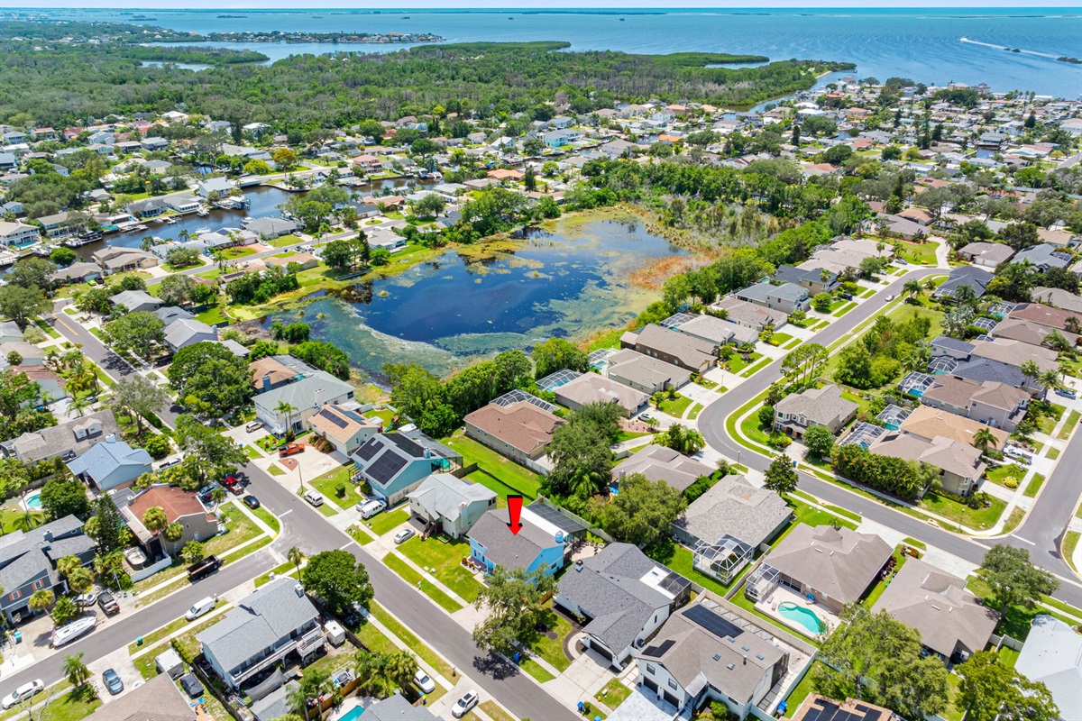 Aerial View of the Neighborhood