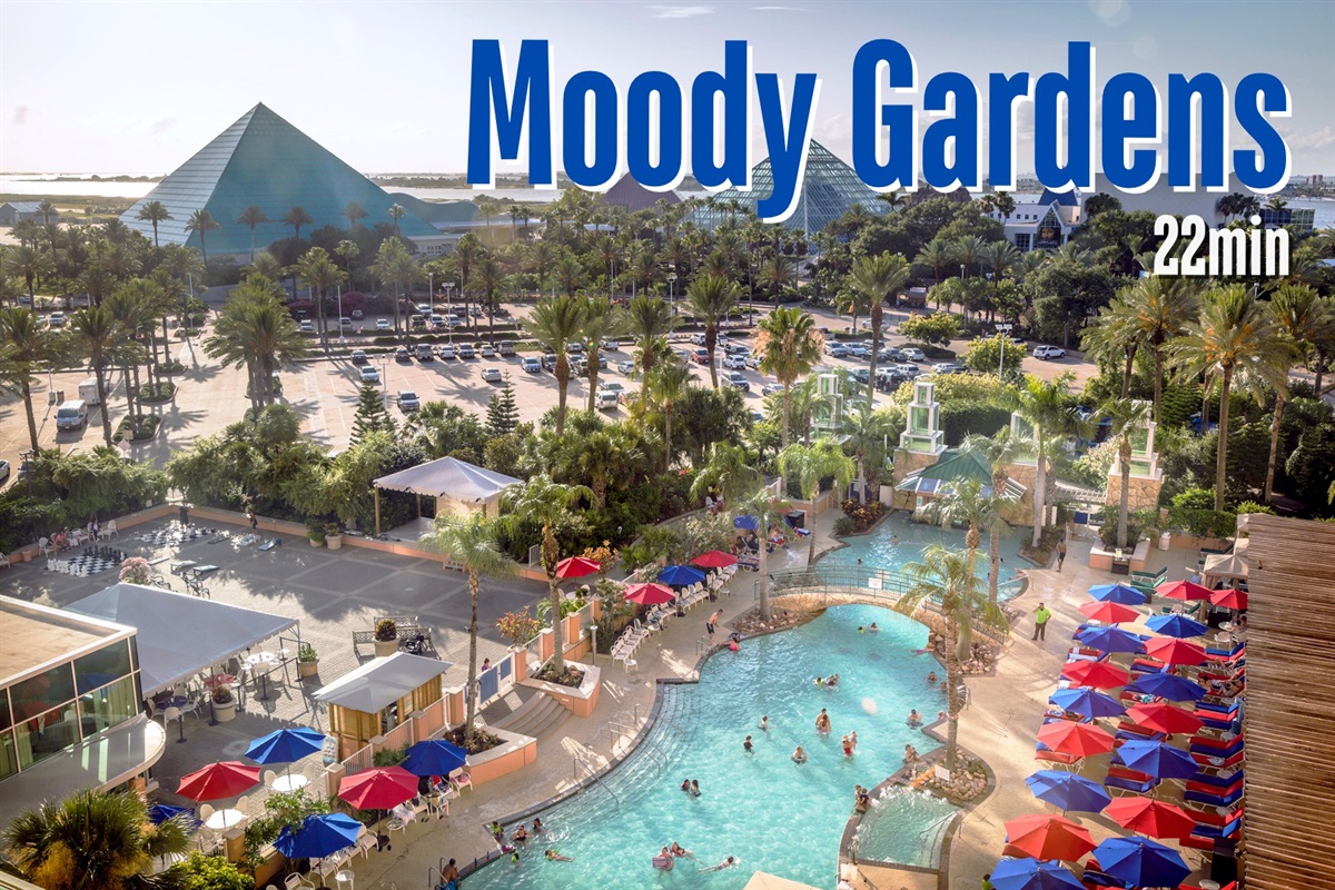 Take a day to explore Moody Gardens and its activities for all ages.