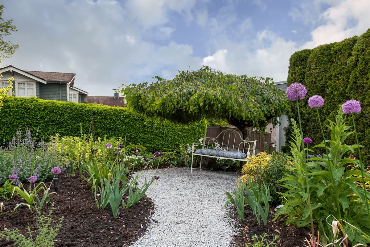 A sweet garden bench for quiet moments.
