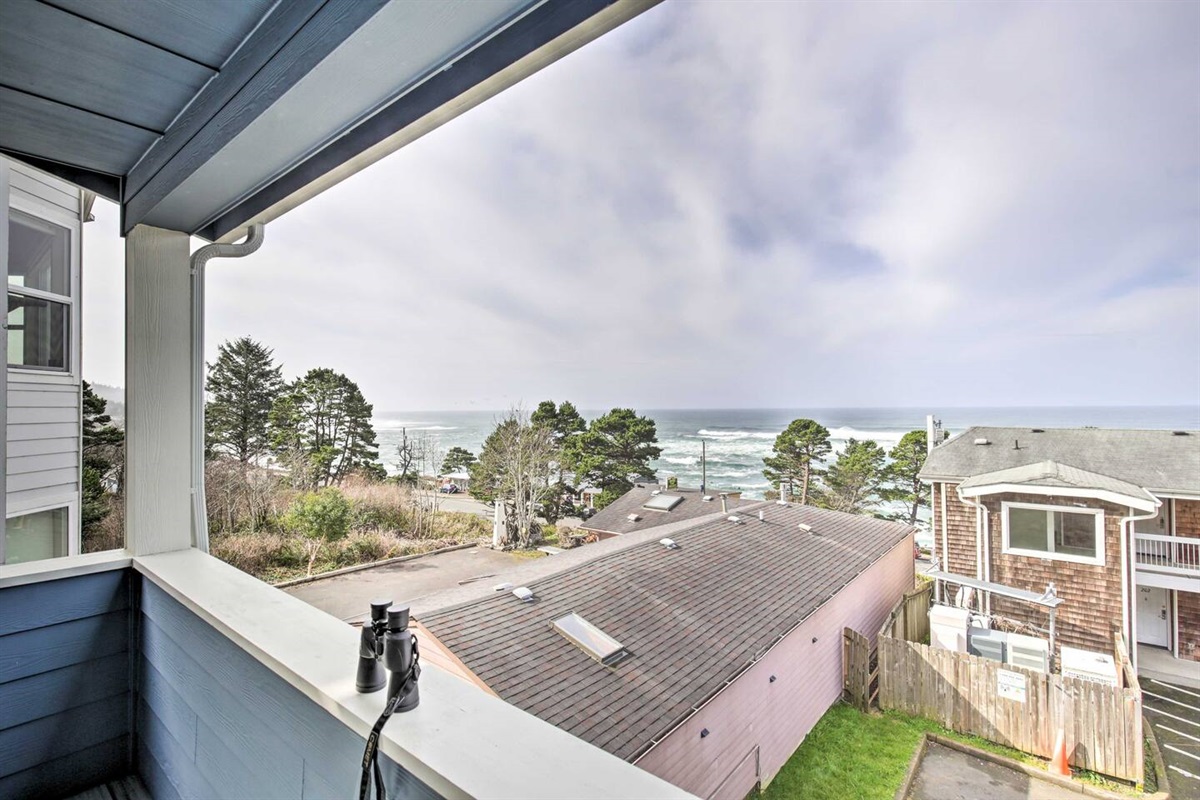 Private Deck Views | Whale Watching