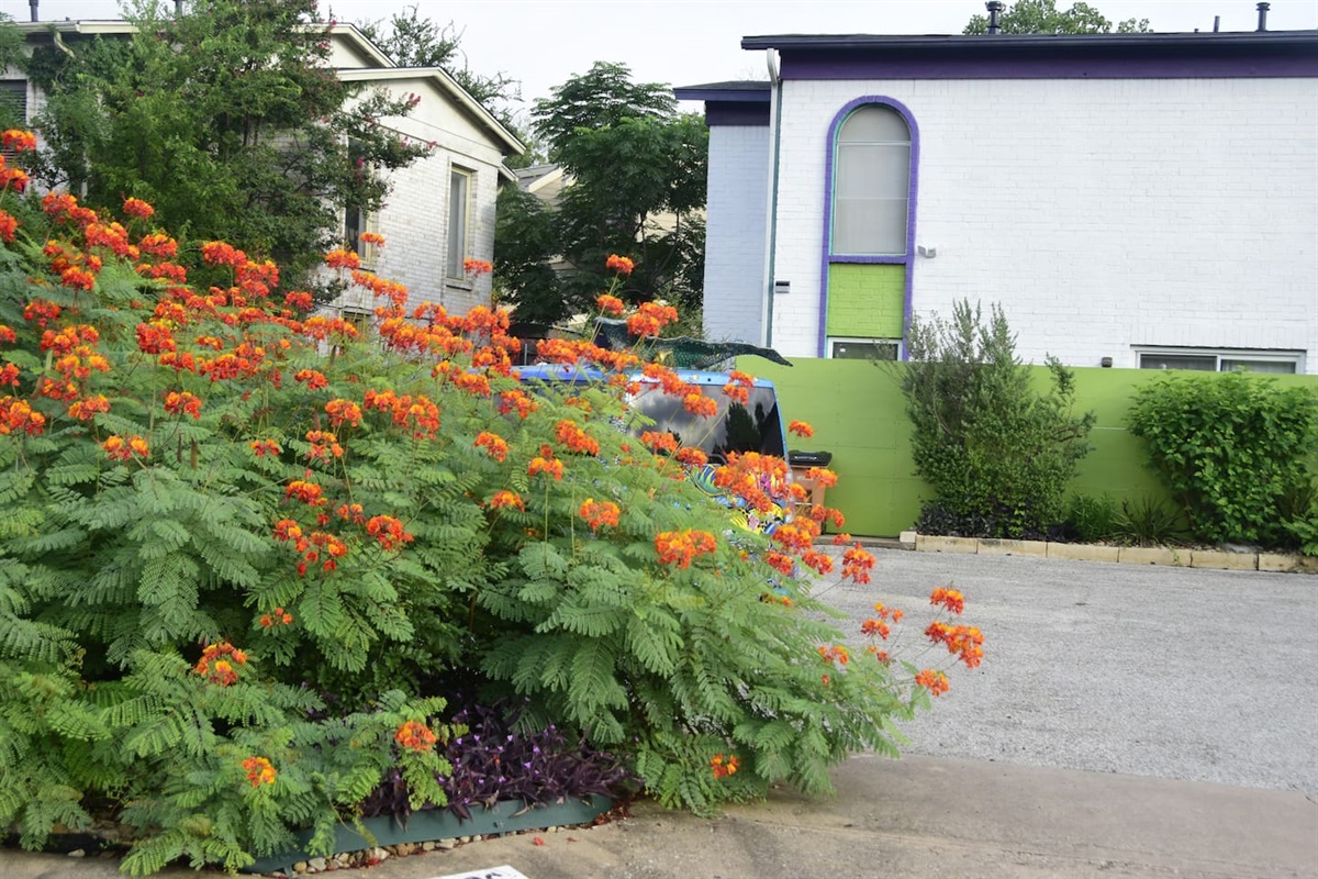 Colourful Exterior