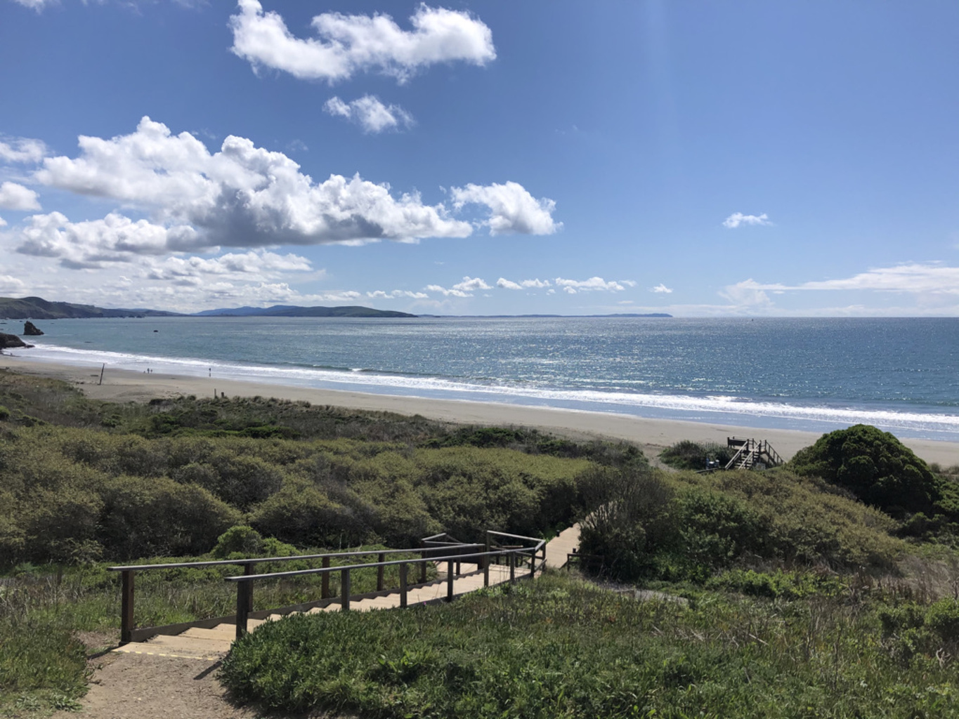 A path and wooden steps winding through coastal vegetation toward the beach