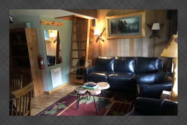 Livingroom area & lot access.