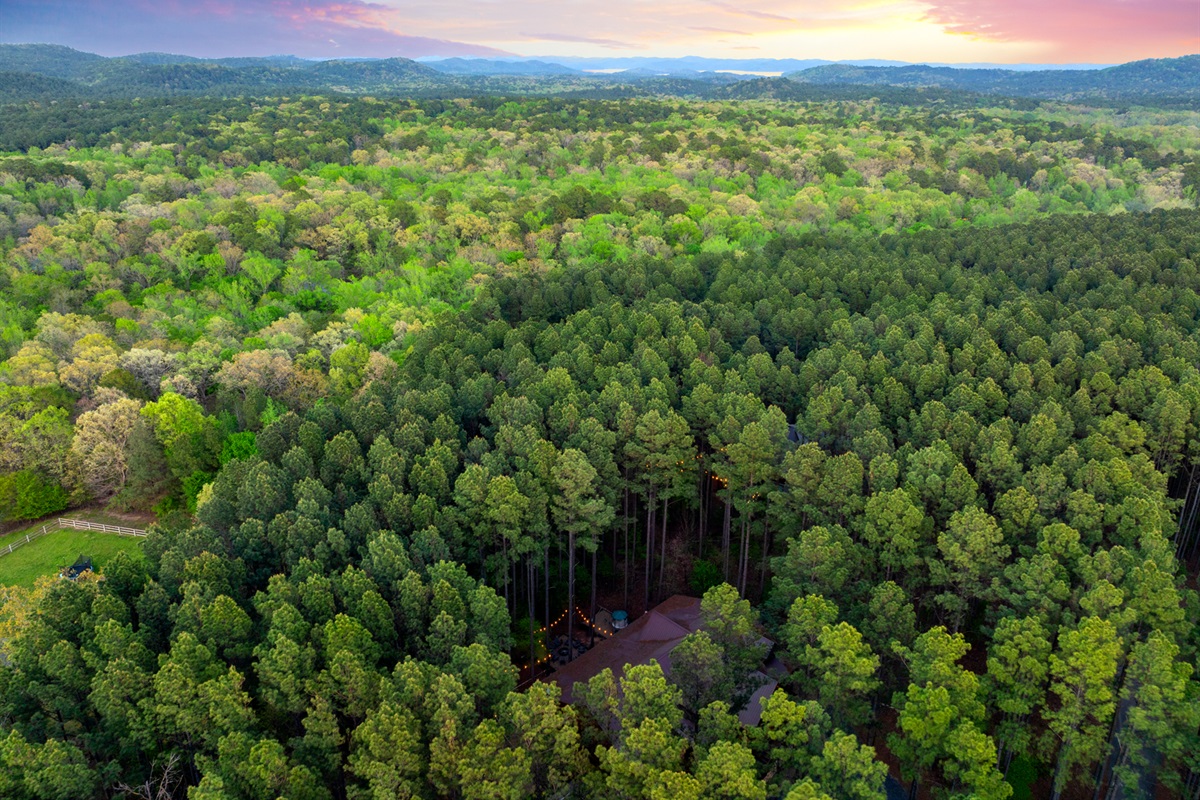 Nature at it's best, back up to Ouachita National Forest,