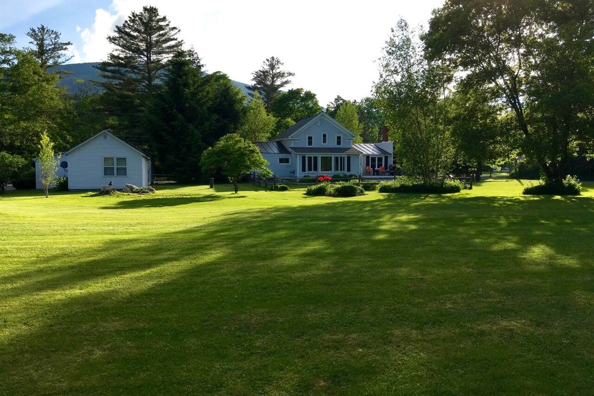 Backyard view
