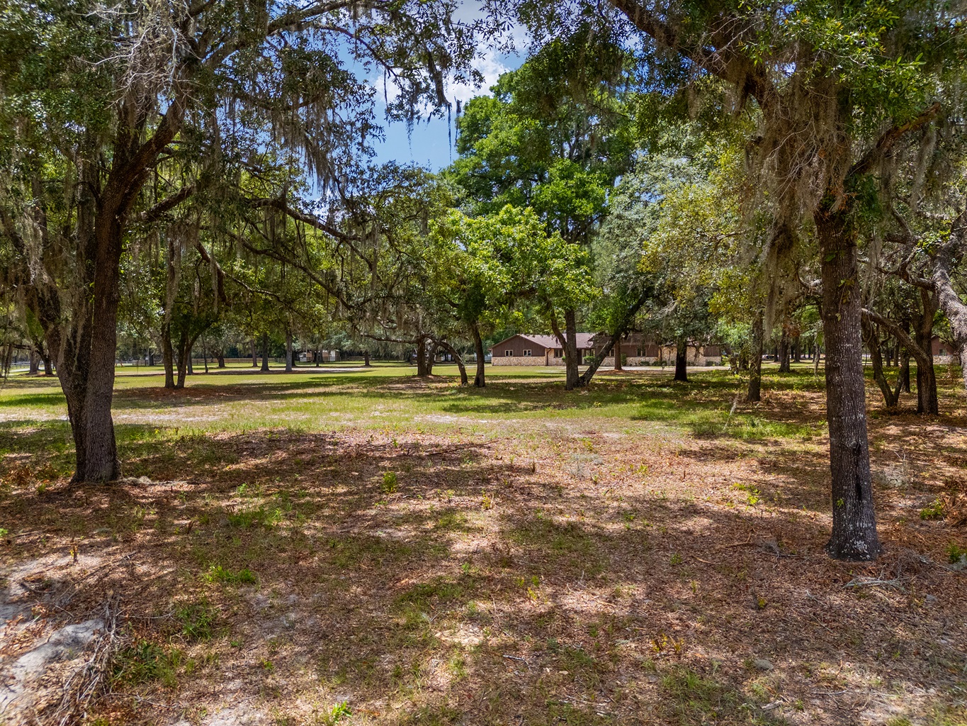 Ocala property