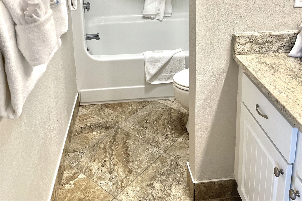Master Bathroom with tub/shower combo.