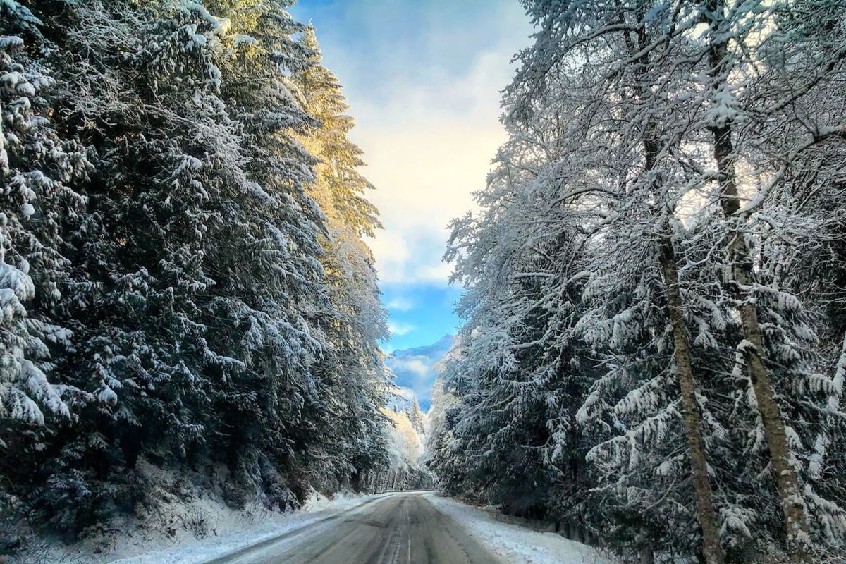 Mt Baker Hwy 542