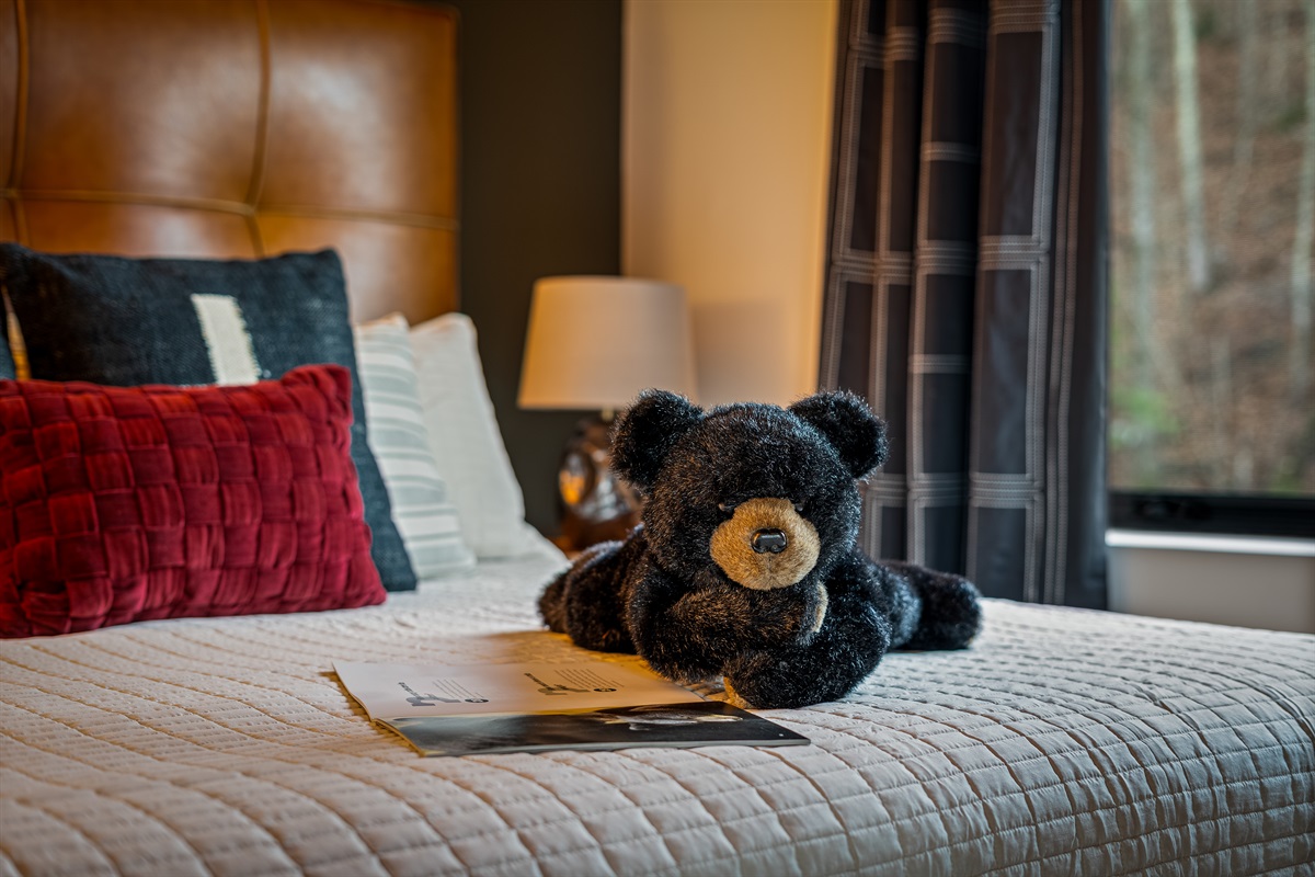 Cozy up with a book!