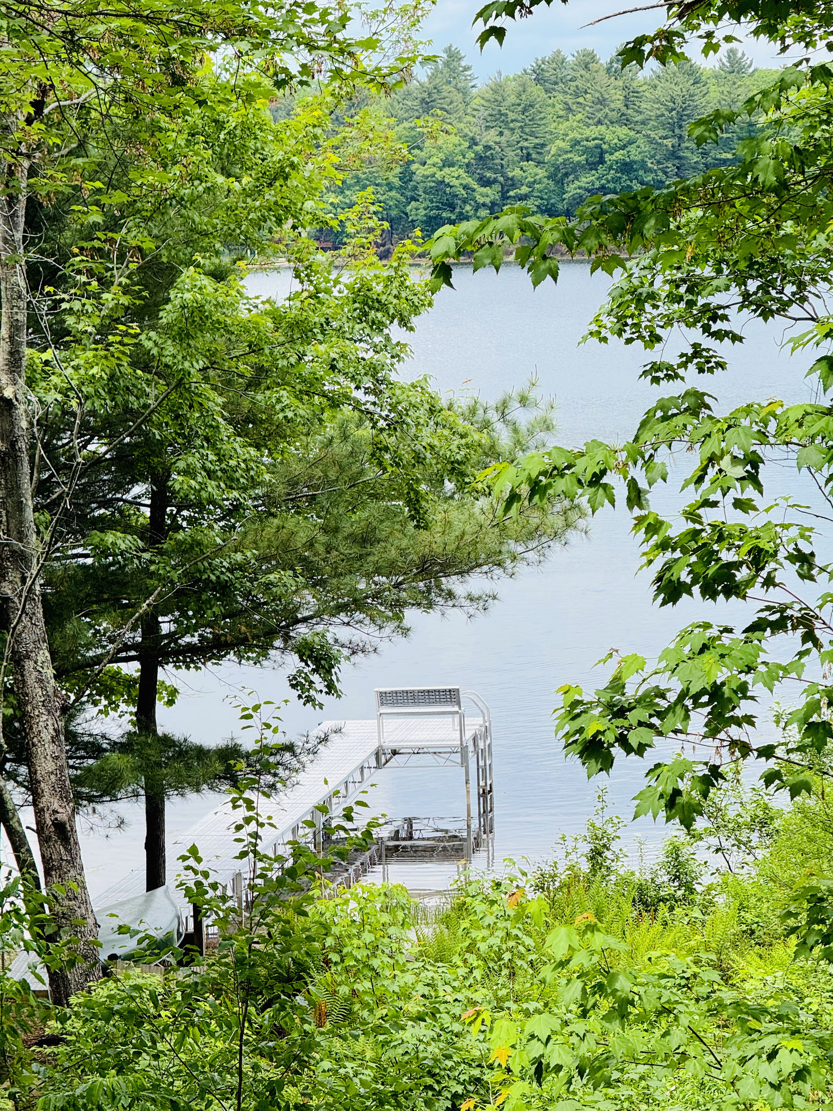 Dock