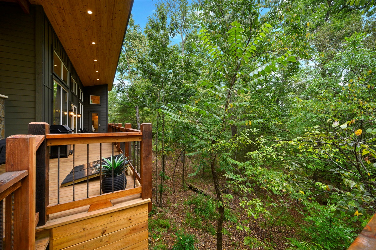 Creek-facing deck