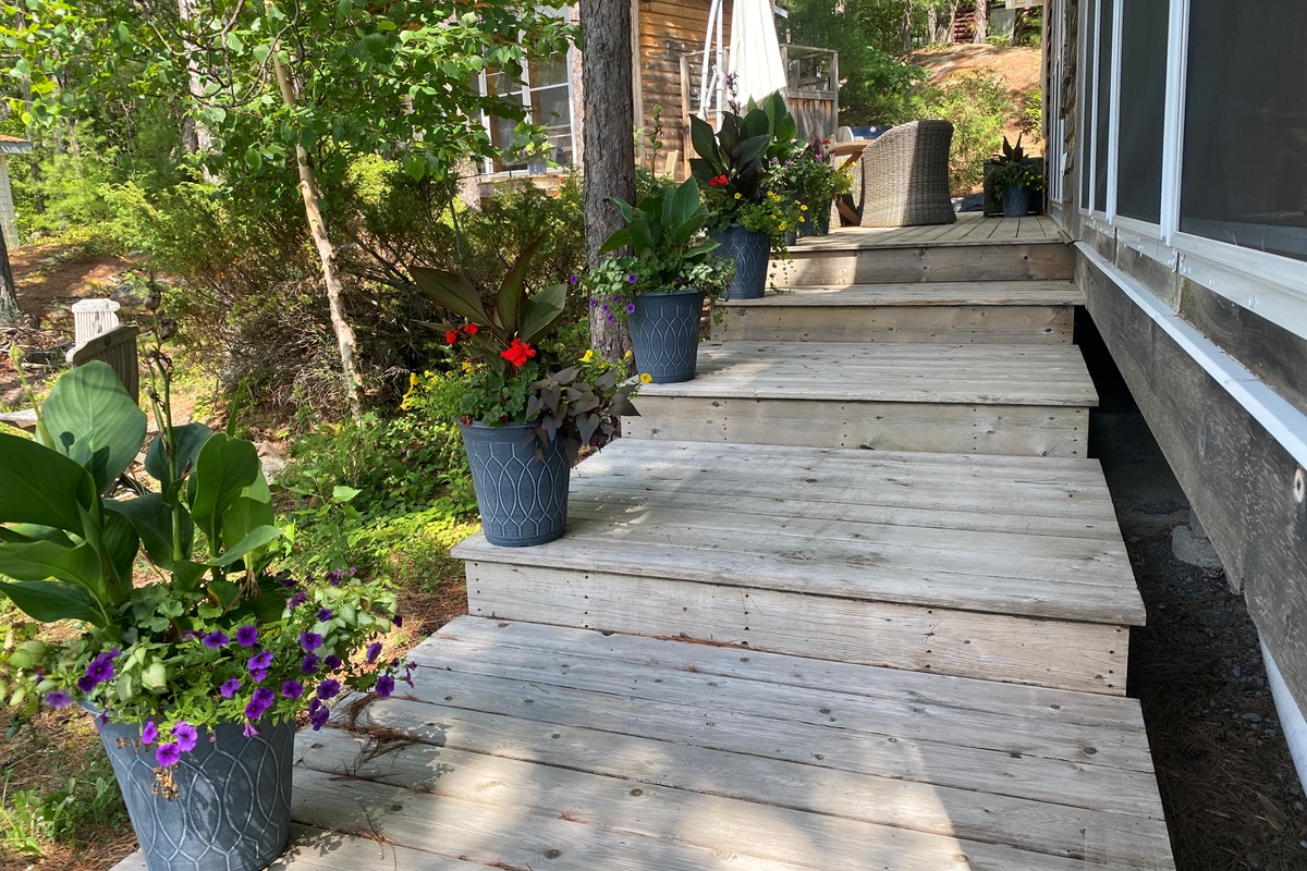 Steps up to cottage-side patio, bunky and BBQ area
