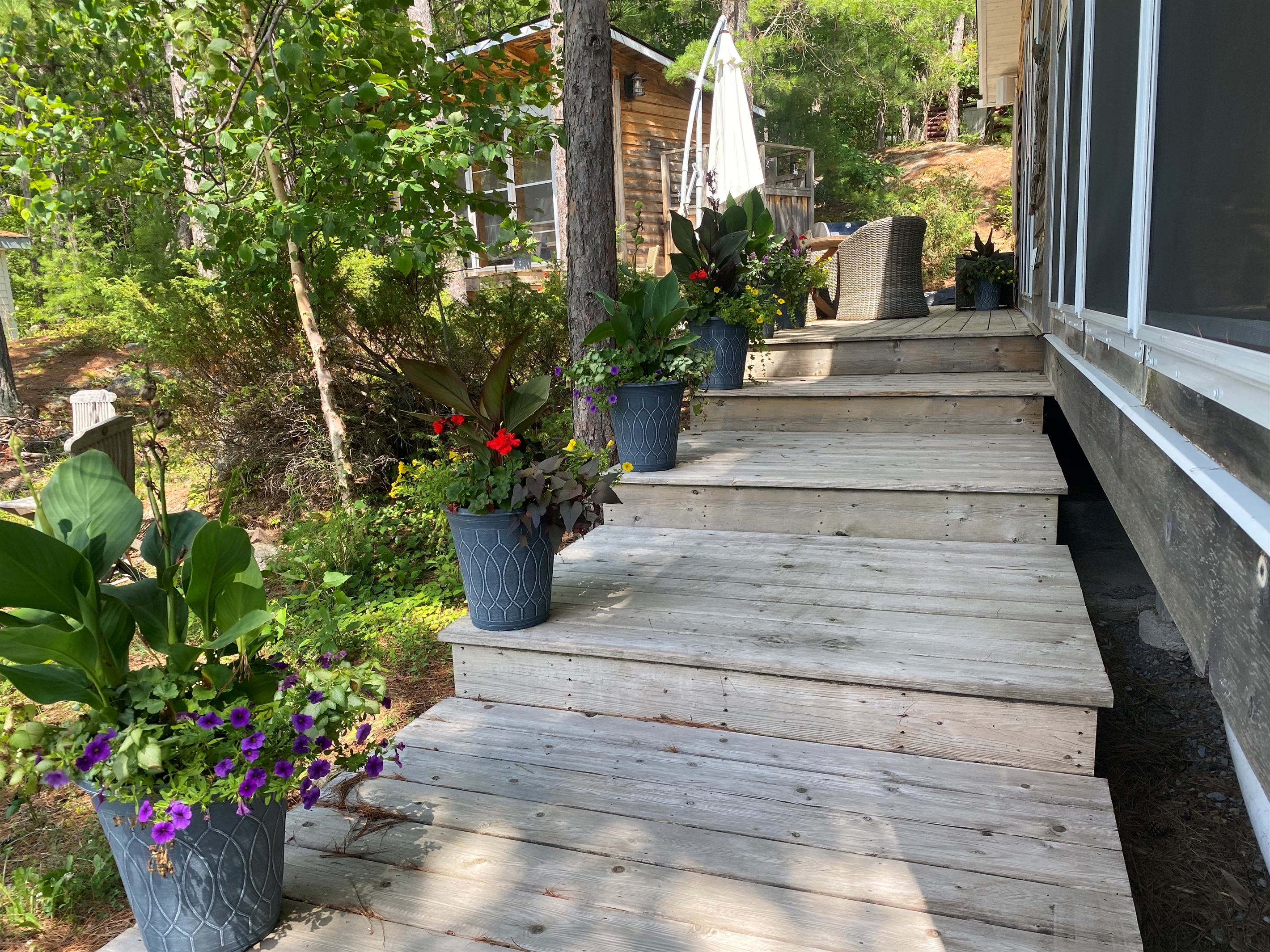 Steps up to cottage-side patio, bunky and BBQ area
