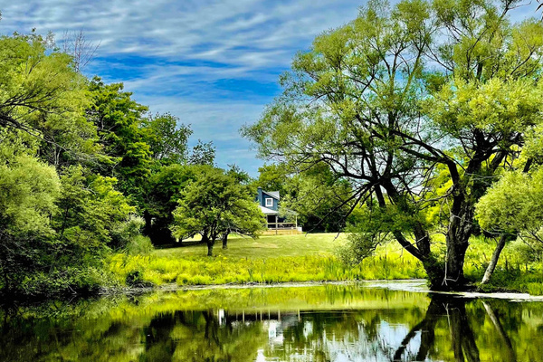 Pond with house in the background.