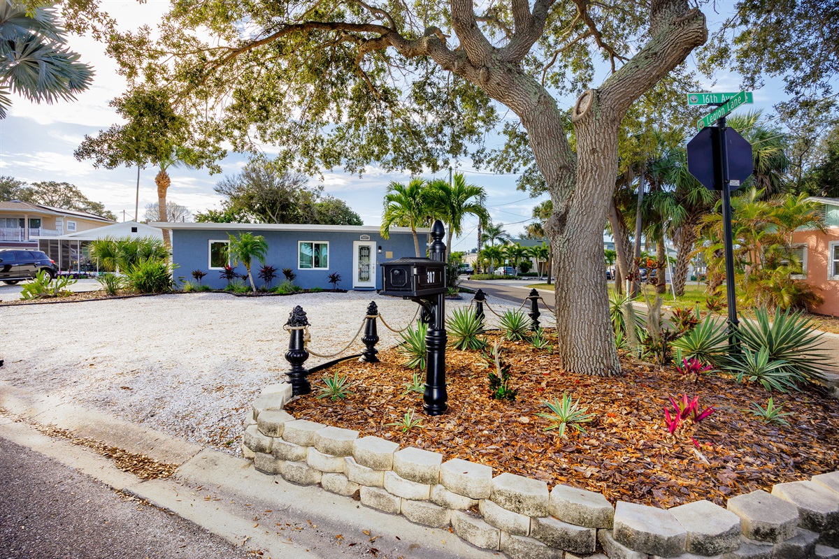 Driveway for 3 Plus Cars